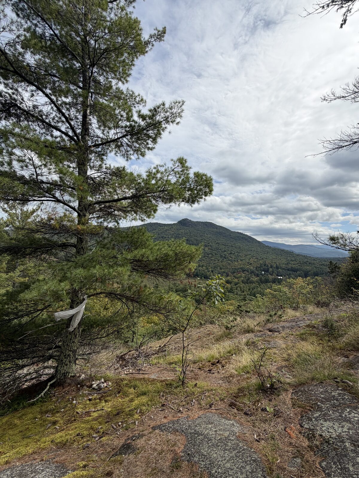 An Adirondack mountain seen from a forested overlook